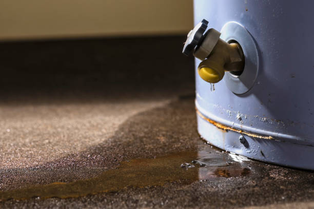 Best Water damage cleanup near me  in Hagerstown, MD