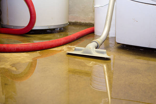 Best Water damage restoration near me  in Hagerstown, MD