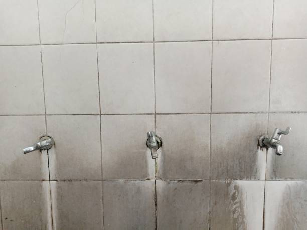Carpet water damage restoration in Hagerstown, MD