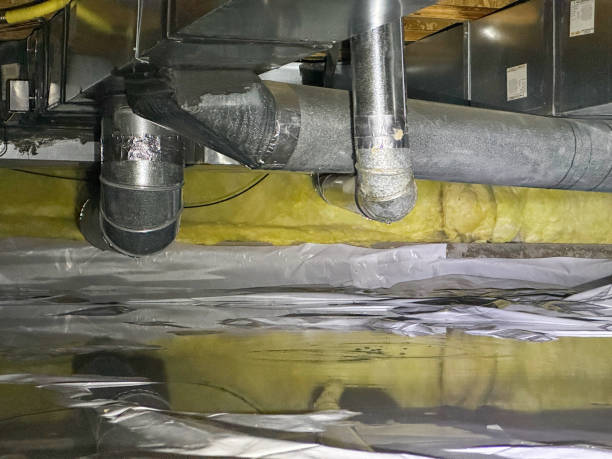 Best Flooded house restoration  in Hagerstown, MD