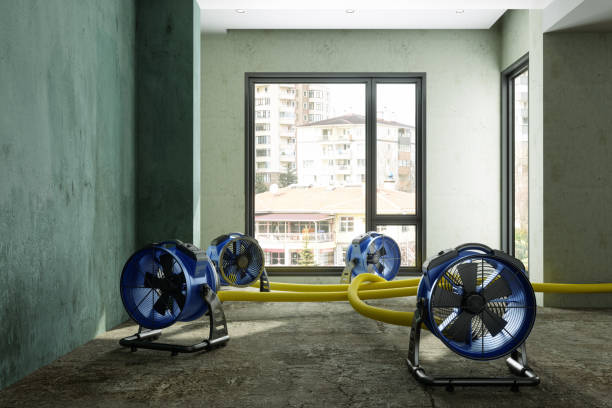 Best Professional water damage repair  in Hagerstown, MD