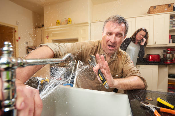 Best Water damage mitigation services  in Hagerstown, MD